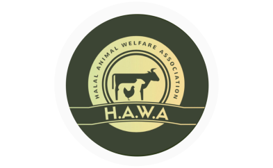 HAWA